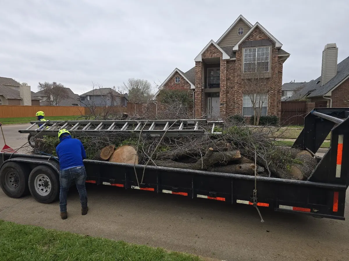 Expert Tree Fertilization with proper safety equipment in Bybee